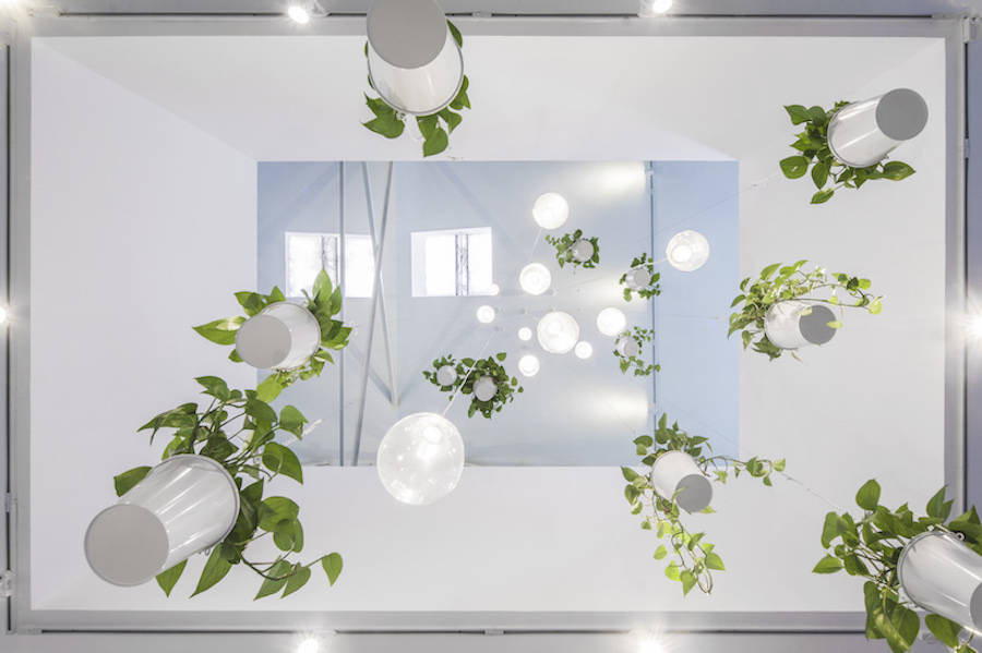 用綠色植物點(diǎn)綴的辦公室設(shè)計(jì)