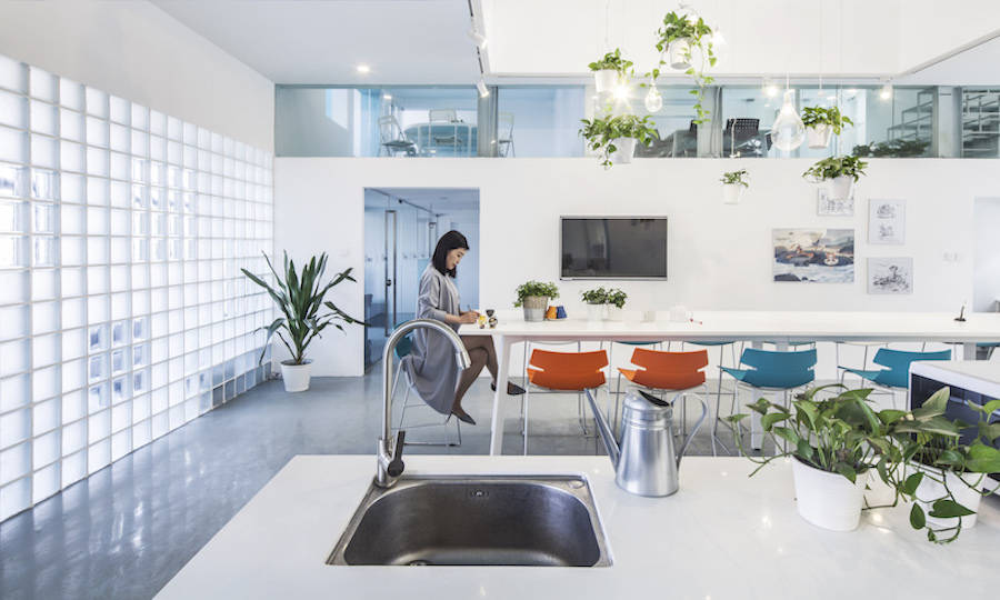 用綠色植物點(diǎn)綴的辦公室設(shè)計(jì)